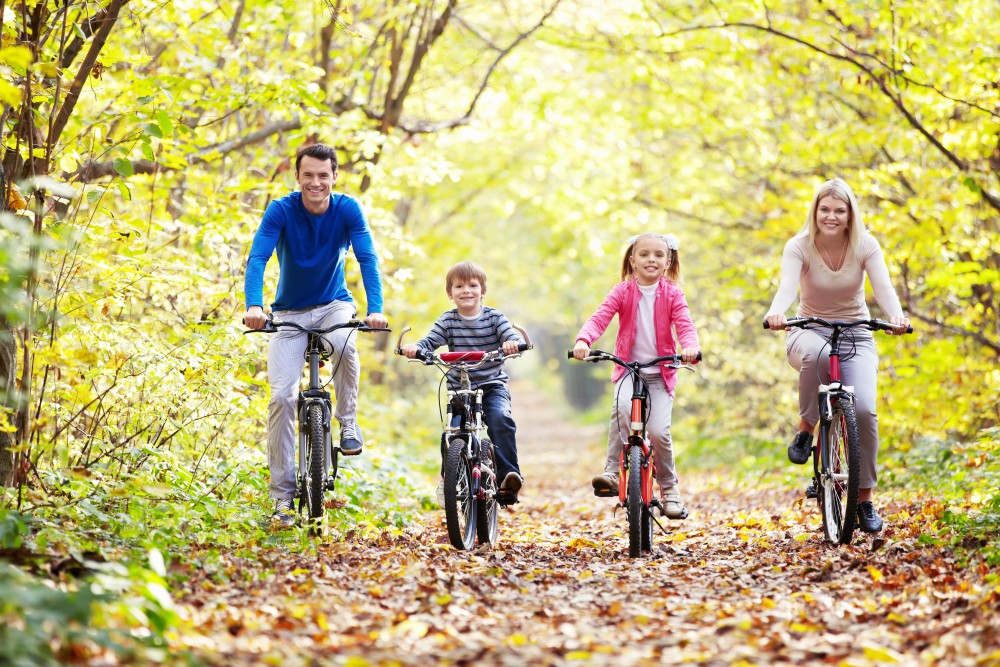 Myrtleford cycle track